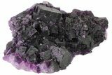 Dark Purple Cubic Fluorite Crystal Cluster - China #163574-2